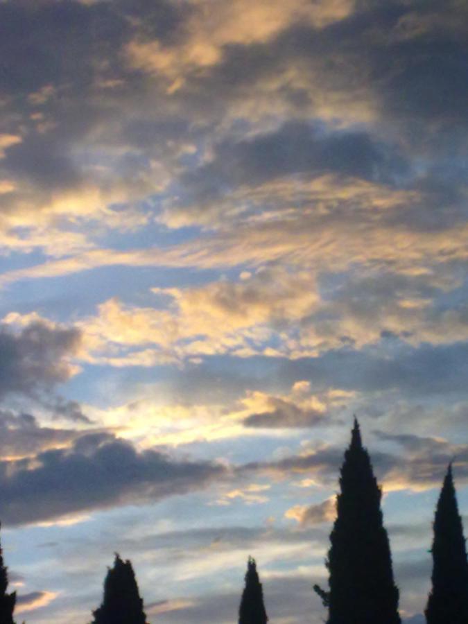 Residenza Al Sogno - On Lake Garda Cavaion Veronese Buitenkant foto