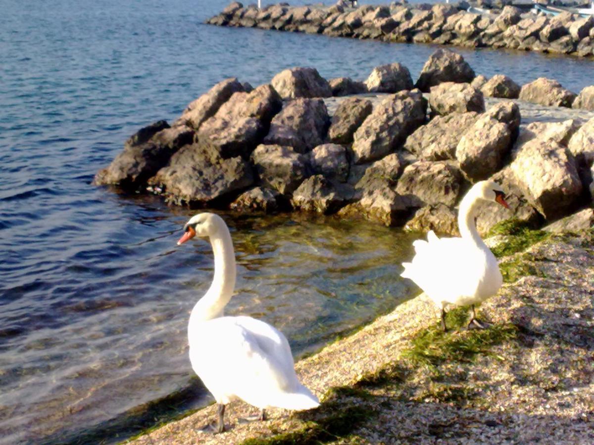 Residenza Al Sogno - On Lake Garda Cavaion Veronese Buitenkant foto